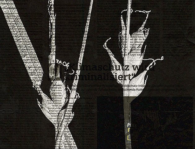 Verarmte Segge Carex depauperata 2022 Siebdruck auf Zeitungspapier 47 x 31 cm Detail