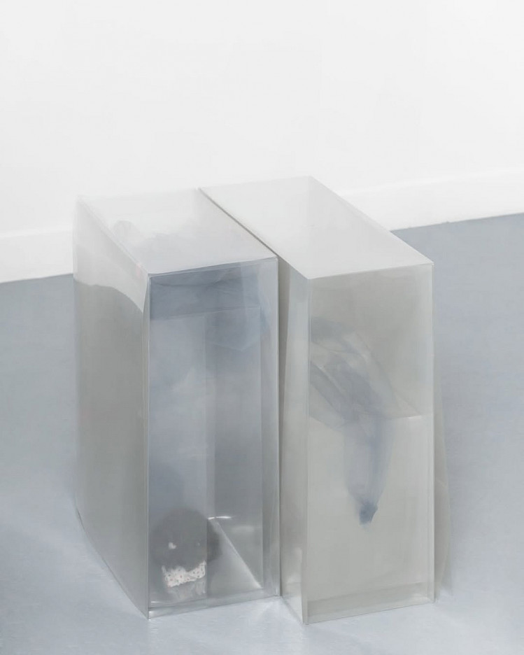 Image: Liz Magor, « Silver », 2019 mylar boxes, mixed materials 51 x 51 x 42 cm unique