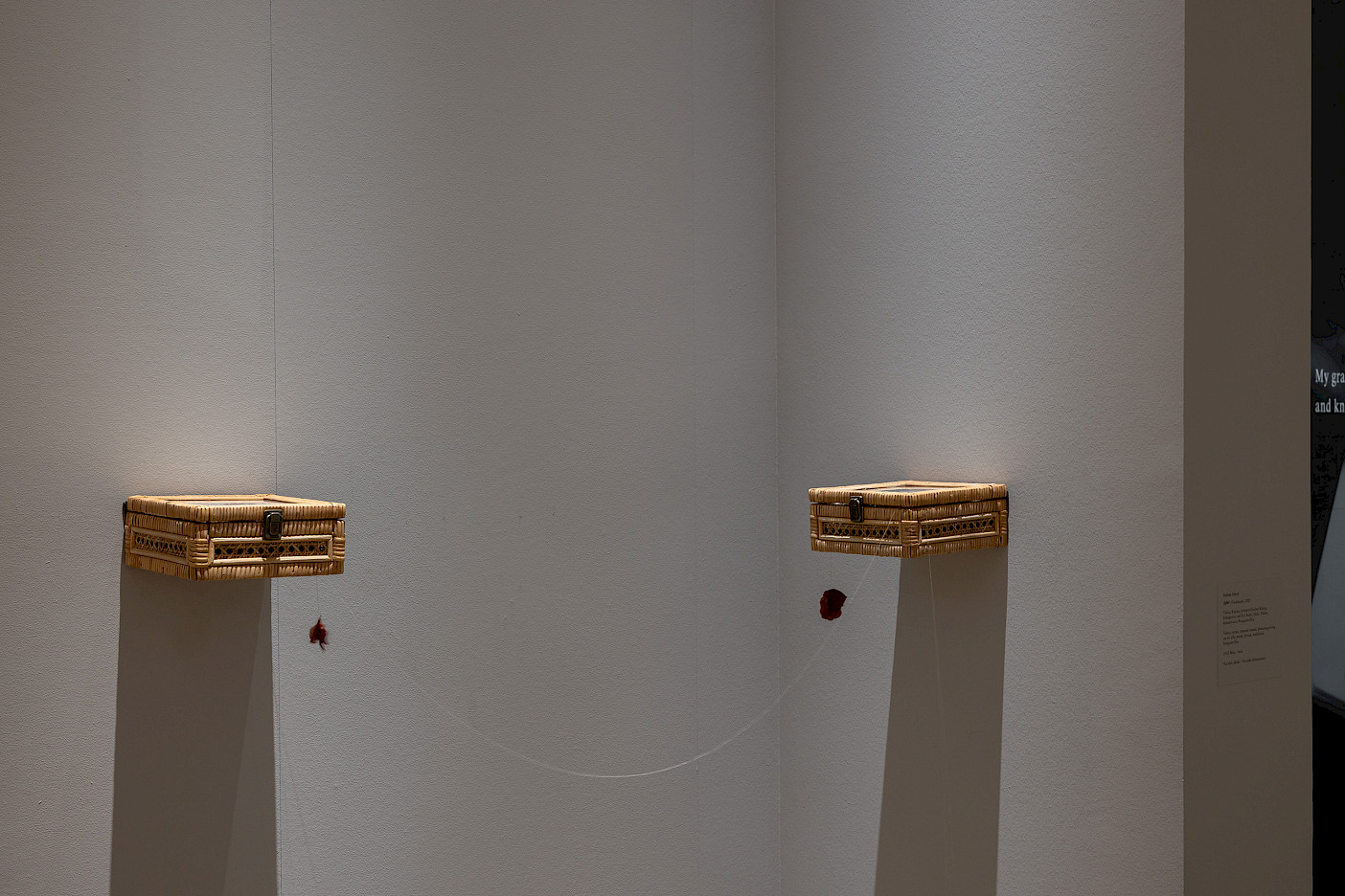 Art installation by Anima Goyal